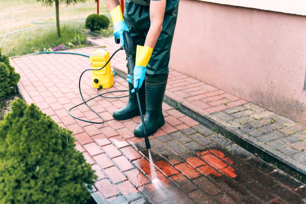 Best Gutter Cleaning  in Somerville, TX