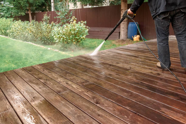 Best Solar Panel Cleaning  in Somerville, TX
